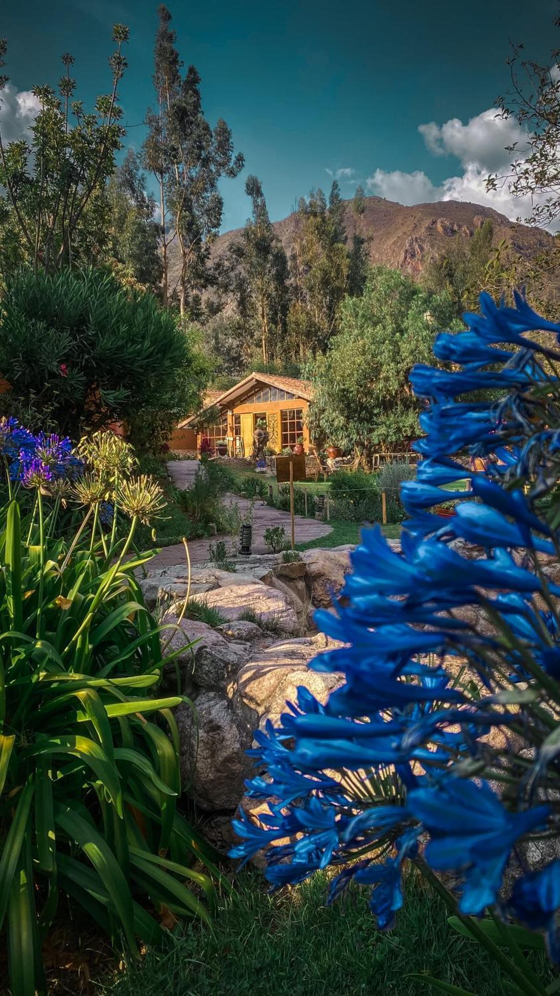 Andean Wings Valley Urubamba Kültér fotó