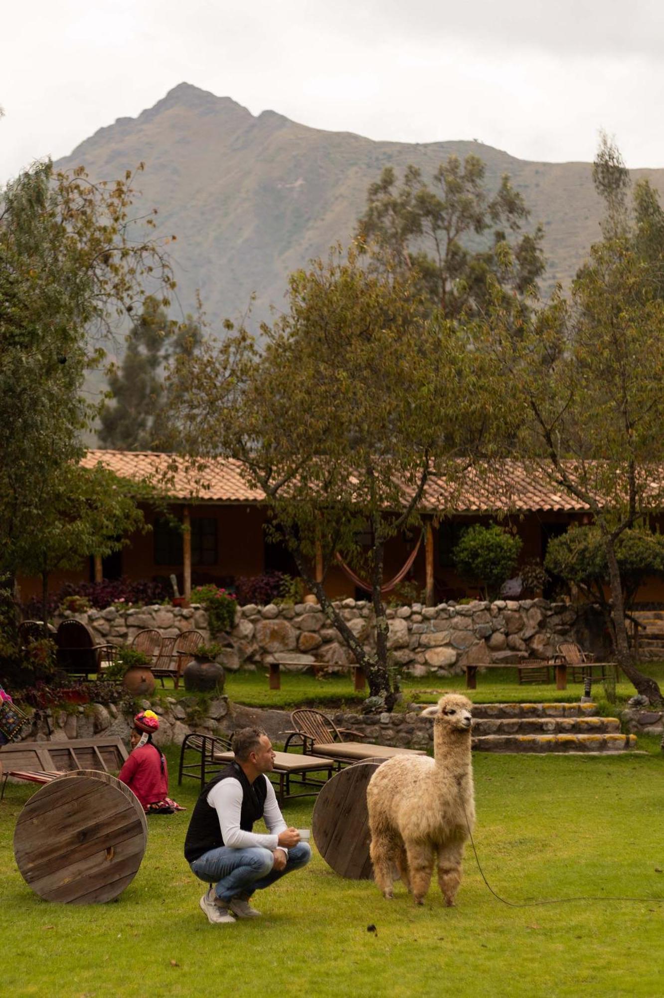 Andean Wings Valley Urubamba Kültér fotó